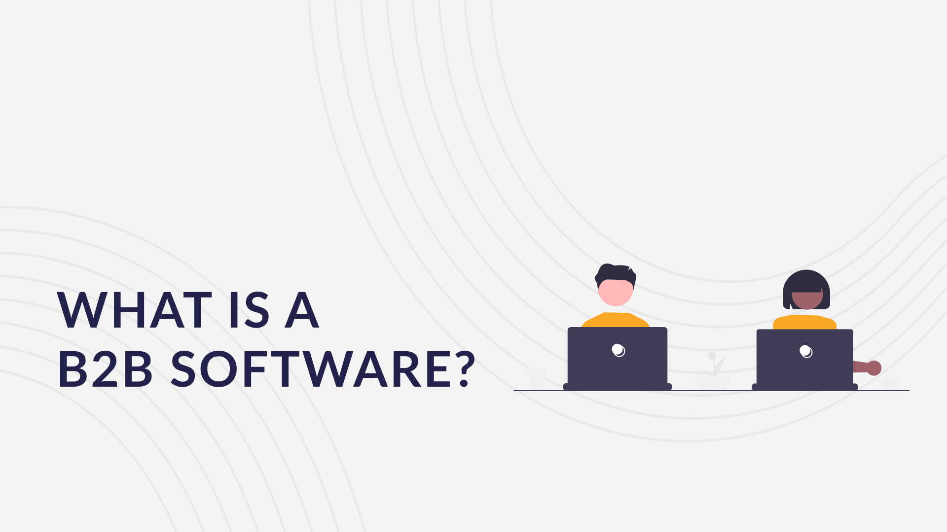 What is B2B Software? - Vera